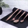 SZTUĆCE 24 ELEM. BERLINGER HAUS BH-2619 ROSE GOLD
